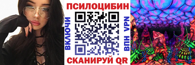 Купить закладки  Котельнич  Галлюциногенные грибы мухоморы 